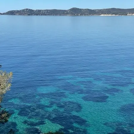 Διαμέρισμα T2 33m², Terrasse, Parking, 6 Pers - Fr-1-610-123 Bormes-les-Mimosas